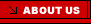 About Bolt Products Inc.