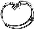 Hose Clamps
