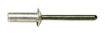 Cap Rivets