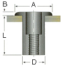 Blind Rivet Nuts